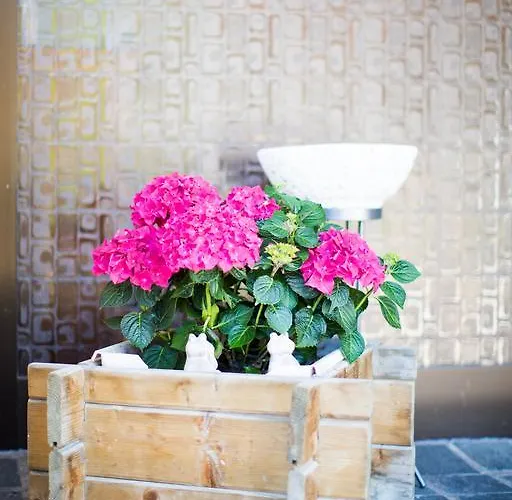 Charly Проживання в сім'ї Зельден